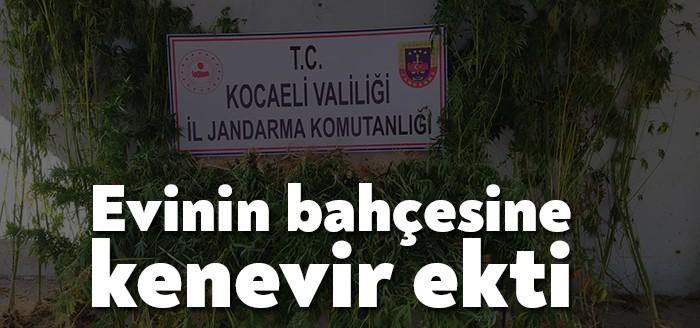 Kocaeli İl Jandarma Komutanlığı ekipleri tarafından bir şahsın evinin bahçesinde