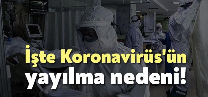 Sağlık Bakanlığı Koronavirüs Bilim Kurulu Üyesi ve Göğüs Hastalıkları Uzmanı