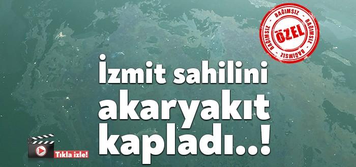 İzmit Körfezi’nde yine bir çevre sorunu yaşandı. Bugün sabah erken