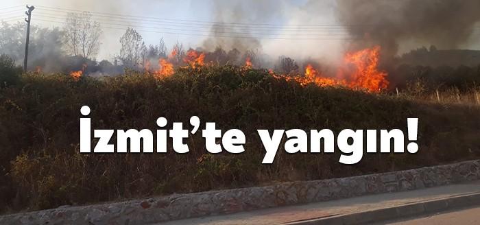 Kocaeli'nin İzmit ilçesinde Şirintepe bölgesinde çalılık alanda korkutan bir yangın