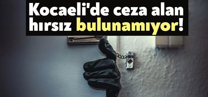 T.C. Gebze 5. Asliye Ceza Mahkemesi, 2019 yılında meydana gelen