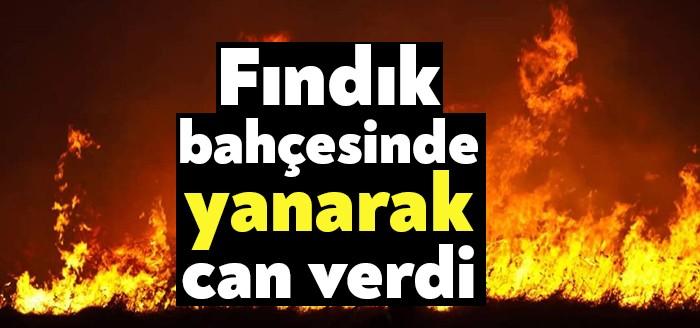 İzmit Çağırgan Mahallesinde bulunan fındık bahçesinde çıkan yangında alevlerin arasında