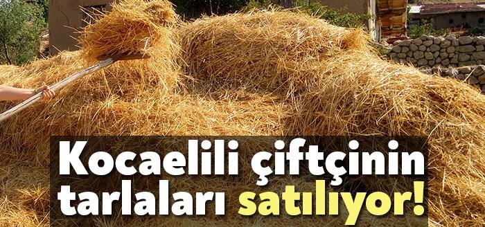 Pandemi yasakları sonrası Kocaeli'de icradan satışlar yeniden hortladı. Bu icradan