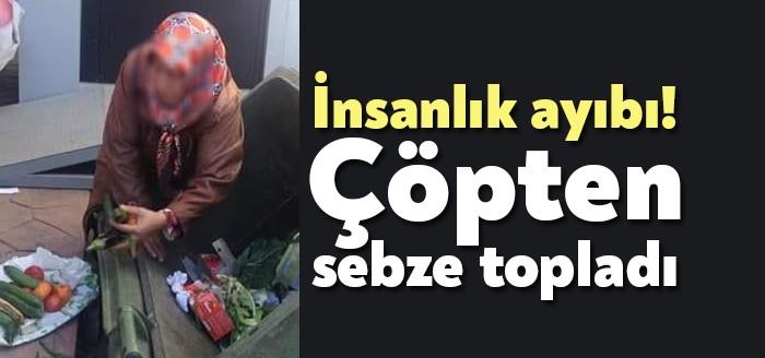 Kocaeli'nin Körfez ilçesinde bir çöp bidonundan sebze toplayan kadının fotoğrafı,