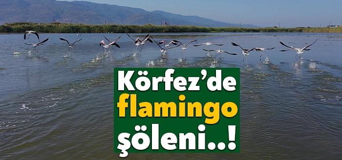 Körfez sahilinde bulunan Fener Gölü, göçmen kuşların dinlenme alanı oldu.