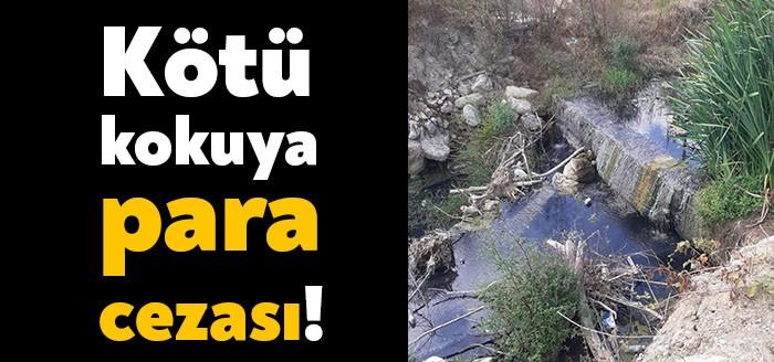 Kartepe Belediyesi geçtiğimiz günlerde geniş bir alana yayılan ve yoğunlukla