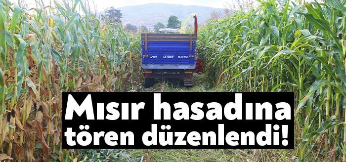 Kocaeli Derince’ye bağlı Karagöllü Mahallesi’nde gerçekleşen tarla günü etkinlikleri ile