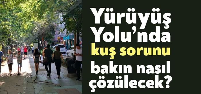 Yürüyüş Yolu Revize projesi kapsamında yıllardır çözülemeyen kuş sorunu çözülecek.