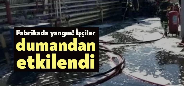 Kocaeli’de bulunan boya fabrikasında yangın çıktı. Kimyasal tanklara sıçramadan söndürülen