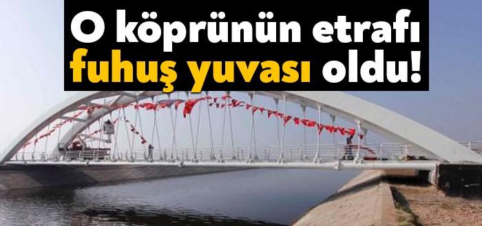 İzmit Fuarı arkasında yer alan Demokrasi Köprüsü etrafındaki çalılık alan