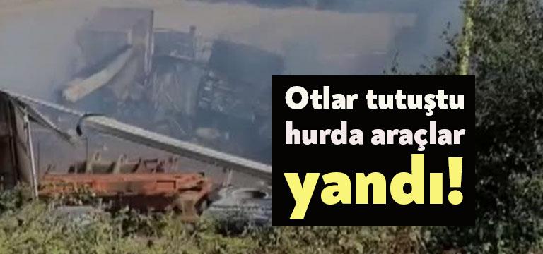 Kocaeli’de kuruyan otların tutuşması sonucu çıkan yangında hurda araçlar yandı.