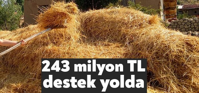 Tarım ve Orman Bakanı Bekir Pakdemirli, IPARD-II Avrupa Birliği Kırsal