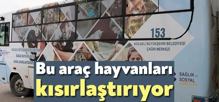 Kocaeli Büyükşehir Belediyesi’nin sokak hayvanlarına hizmet verdiği “Mobil Kısırlaştırma Aracı”