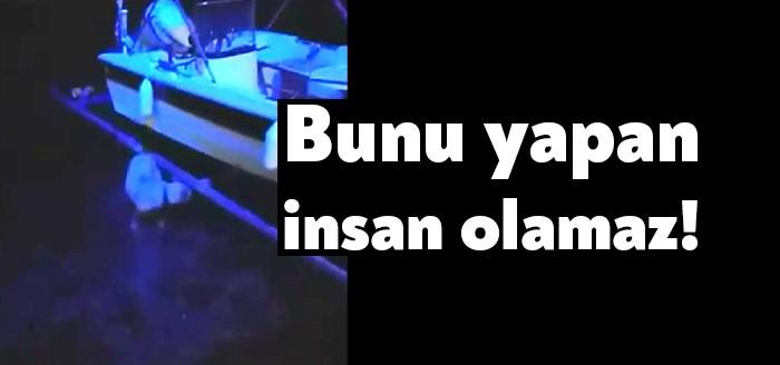 Kocaeli'nin sözde huzurun başkenti olan Karamürsel ilçesinde, deniz kıyısında tekneye