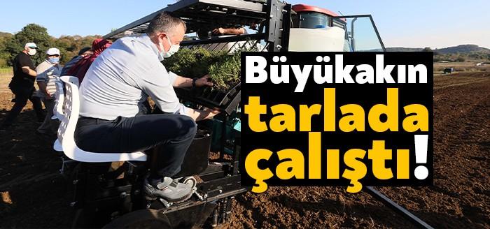Büyükşehir’in destek verdiği Tıbbi ve Aromatik Bitkiler Projesi kapsamında 2