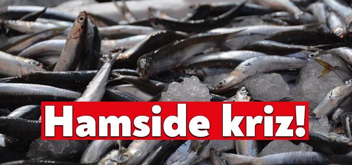Türkiye'de boyu dokuz santimetrenin altında avlanması yasak olan hamsi sürülerinin