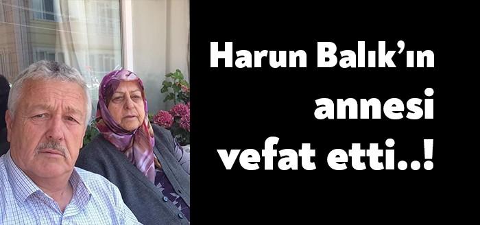 İzmitli Harun Balık'ın annesi hayatını kaybetti. Cenazesi yarın öğle namazına