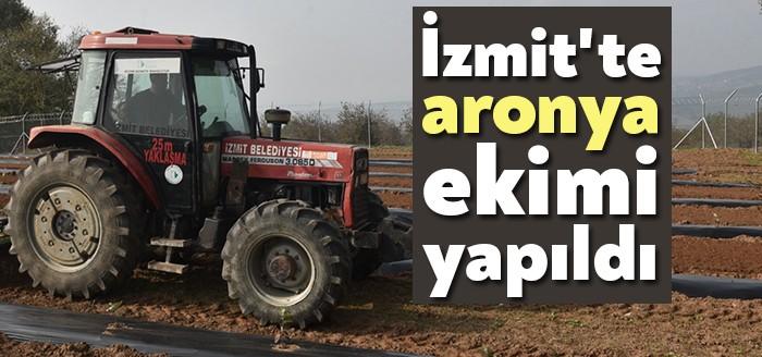İzmit Belediyesi, tarımsal üretime ağırlık vermeye devam ediyor. İzmit Belediyesi,