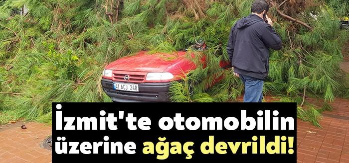 İzmit Seka Park Kültür Evleri mevkiinde yaklaşık 15 metre yüksekliğindeki