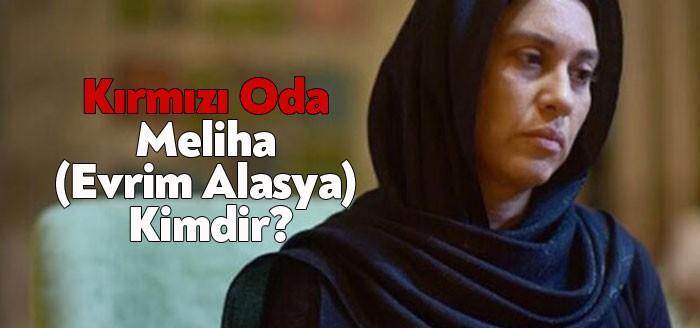 Kırmızı Oda oyuncu kadrosunda yer alan oyuncuların performansı oldukça beğeniliyor.