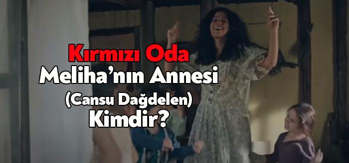 Kırmızı Oda oyuncu kadrosunda yer alan oyuncuların performansı oldukça beğeniliyor.
