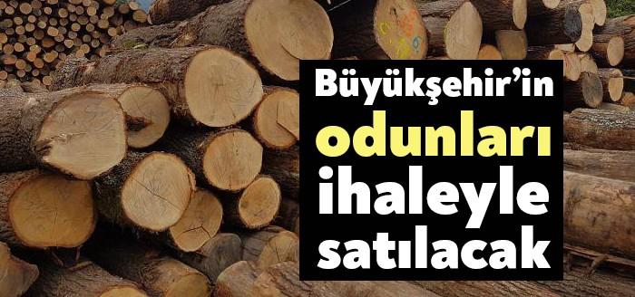 Kocaeli Büyükşehir Belediyesi Park ve Bahçeler Daire Başkanlığı Fidanlık Alanı'nda