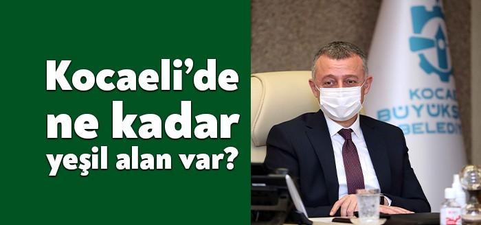 Tahir Büyükakın, Sakarya Orman Mühendisleri Odası Kocaeli Şube Başkanı Vedat