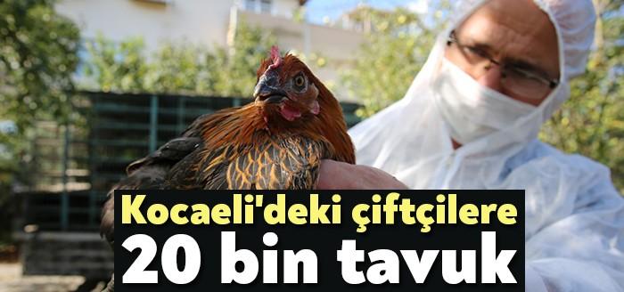 Kocaeli genelindeki çiftçilere 3 yılda 17 bin adet yüzde 50