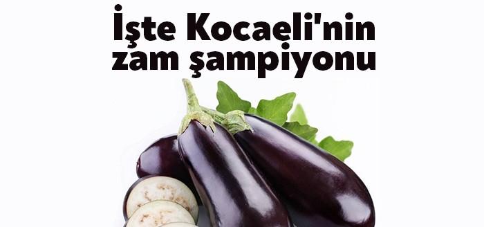 Türkiye İstatistik Kurumu Başkanlığı Kocaeli Bölge Müdürlüğü, TR42 Bölgesine ait,
