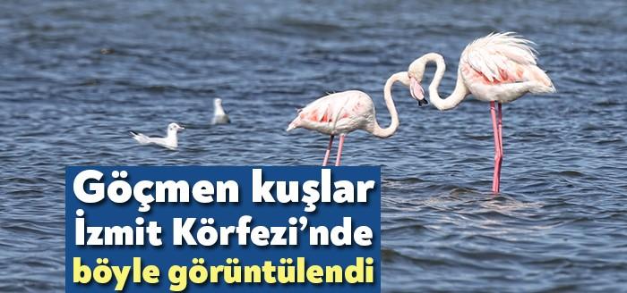 Kocaeli Büyükşehir Belediyesi’nin yaptığı devasa arıtma tesisleriyle ter temiz hale
