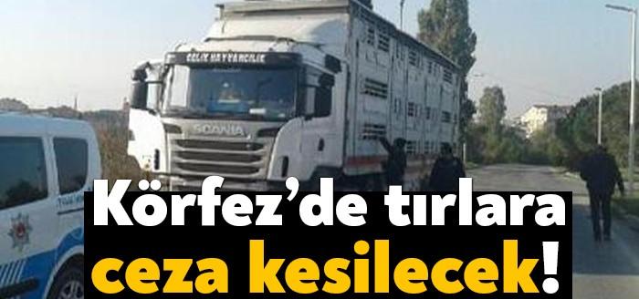Kocaeli’nin Körfez ilçesinde tır garajı inşaatı tamamlandı. Bu sebeple artık