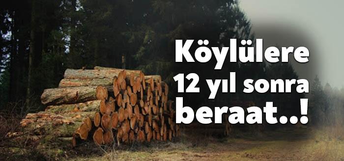 Kocaeli'nin Gölcük ilçesinde 2008 yılında ormanlık alanda fazla kesim ve