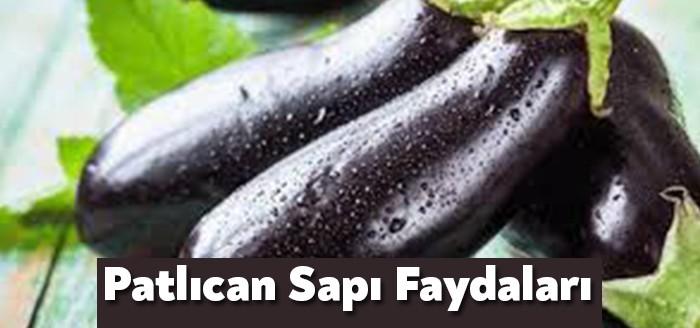 Patlıcanın faydaları biliniyor,peki ama ya patlıcan sapının faydalarını biliyor musunuz