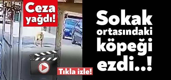 Kocaeli'nin Gölcük ilçesinde seyir halindeki cipi ile sokak ortasında yatan