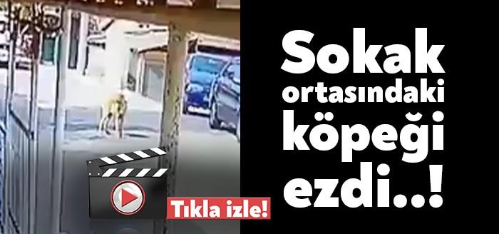 Kocaeli'de sokak ortasında duran bir köpeği cip sürücüsü acımadan ezdi.
