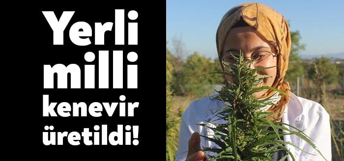 Ondokuz Mayıs Üniversitesi (OMÜ) Kenevir Araştırmaları Enstitüsü ile Karadeniz Tarımsal