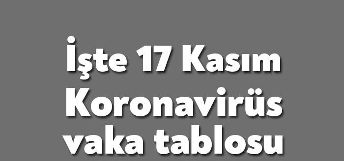 17 Kasım Koronavirüs Vaka Tablosu Sağlık Bakanlığı tarafından paylaşıldı. 17