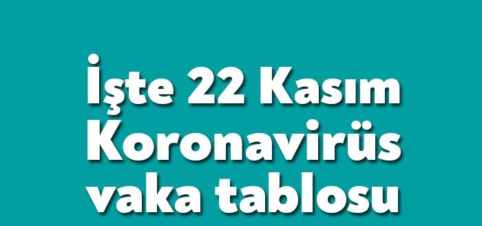 Sağlık Bakanlığı, 22 Kasım Koronavirüs Vaka Tablosu'na göre bugünkü hasta