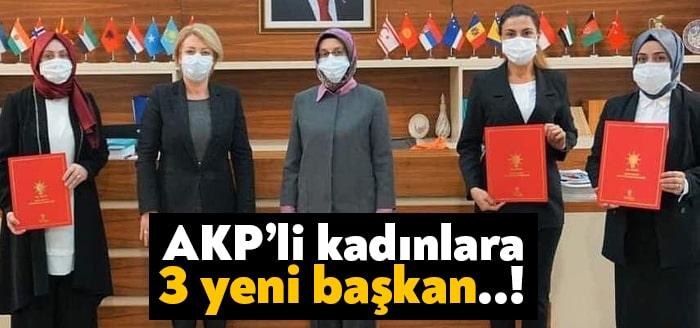 AKP Kadın Kolları Genel Merkezi, Kocaeli'nin üç ilçesinde yeni ilçe