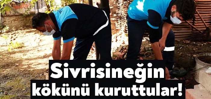Kocaeli Büyükşehir Belediyesi vektörle mücadele ekipleri Sivrisineksiz bir yaz ve