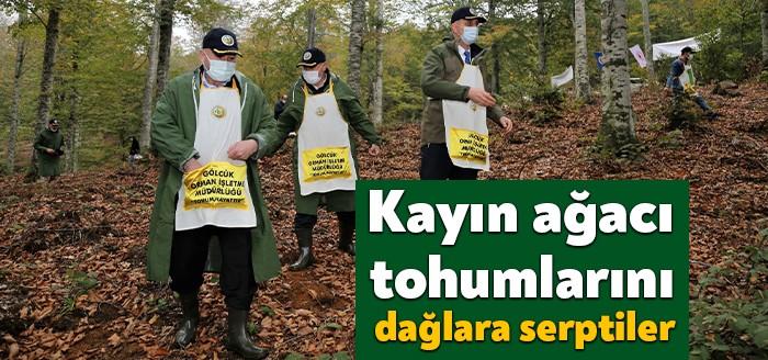 Gölcük Orman İşetme Müdürlüğü tarafından, orman gençleştirme çalışması kapsamında Eriklitepe