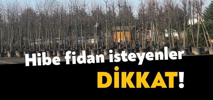 “Meyveciliği Geliştirme Projesi” kapsamında verilecek mavi sertifikalı ceviz, Trabzon hurması
