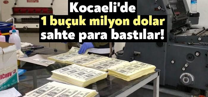 Kocaeli Haber... Kocaeli'nin Çayırova ilçesinde 1 buçuk milyon dolar sahte