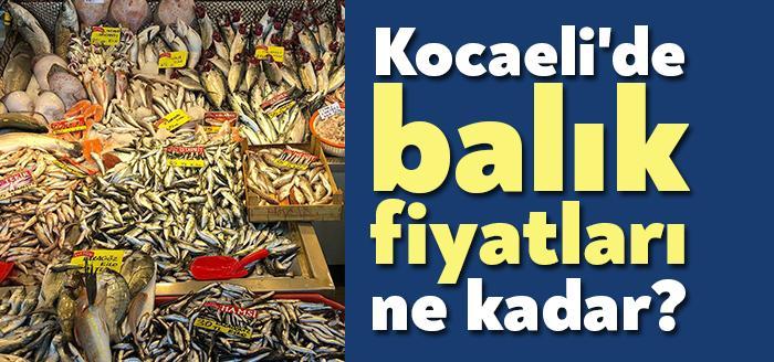 Kocaeli'de her şeyde olduğu gibi balık fiyatlarındaki artışlarda da bir
