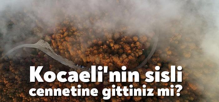Gölcük Belediyesi Eriklitepe Tabiat Parkı Tesisleri, ter temiz havası ve