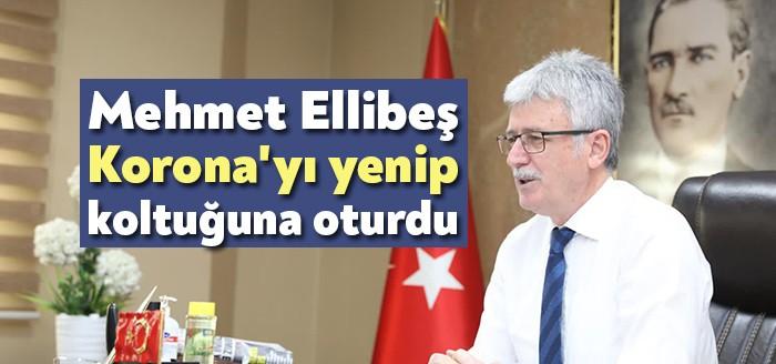 AKP Kocaeli İl Başkanı Mehmet Ellibeş, tam 3 hafta sonra