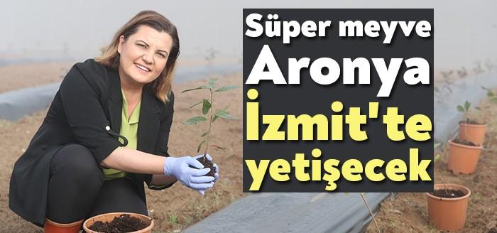 İzmit Belediye Başkanı Av. Fatma Kaplan Hürriyet, bu kez süper