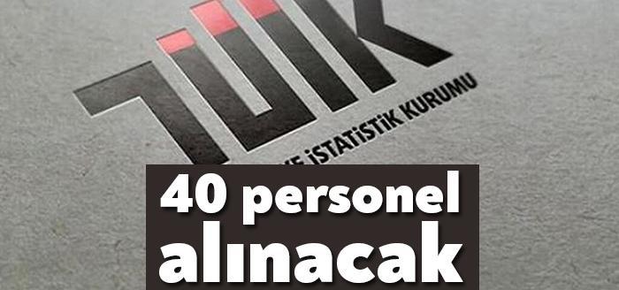 Türkiye İstatistik Kurumu Başkanlığı merkez ve taşra teşkilatı birimlerinde çalıştırmak