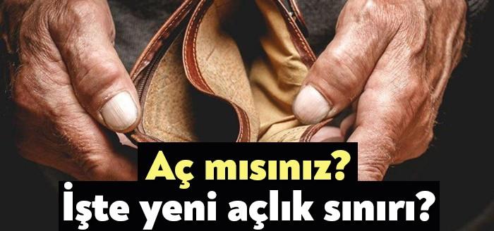 Türk-İş'in araştırmasına göre, kasım ayında dört kişilik ailenin açlık sınırı