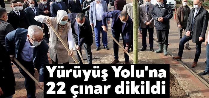 Kocaeli Haber Geçtiğimiz aylarda İzmit Yürüyüş Yolu'nda kesilen çınar ağaçları